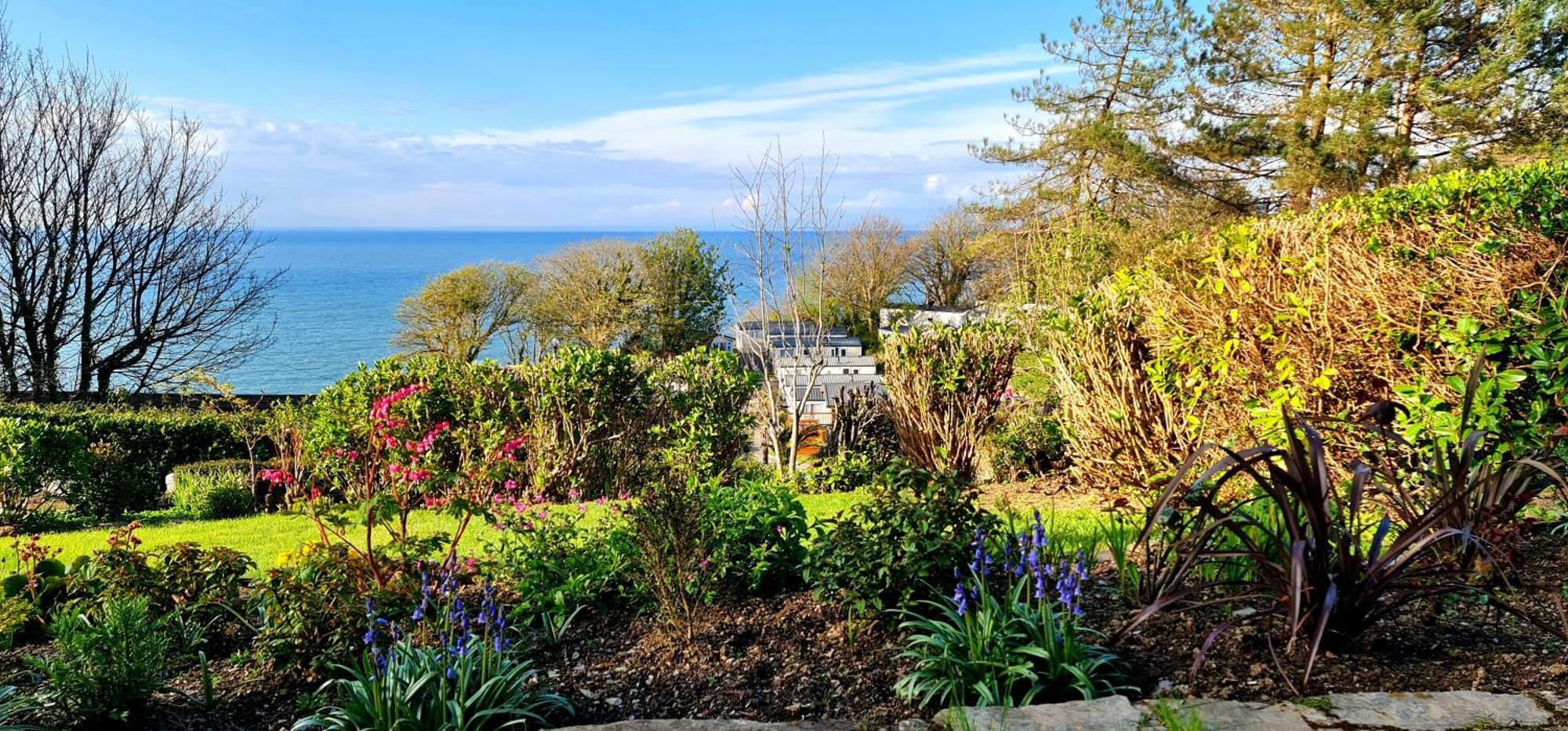 Newberry Wood Guesthouse Ilfracombe Exterior foto